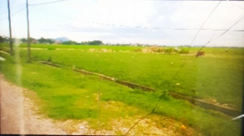 SÂN.jpg