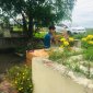 ĐIỆN CÀN LONG VÀ LĂNG MỘ VUA LÊ HUYỀN TÔNG