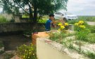 ĐIỆN CÀN LONG VÀ LĂNG MỘ VUA LÊ HUYỀN TÔNG