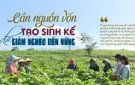   Chỉ thị của Ban Thường vụ Tỉnh ủy về Cuộc vận động hỗ trợ xây dựng nhà ở cho hộ nghèo, hộ gia đình chính sách, hộ còn khó khăn về nhà ở trên địa bàn tỉnh trong 02 năm 2024 - 2025