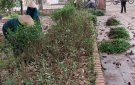 Tuyến đường hoa phụ nữ