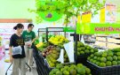 HUYỆN THỌ XUÂN ĐẨY MẠNH PHÁT TRIỂN THƯƠNG MẠI DỊCH VỤ