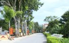 Xây dựng huyện Thọ Xuân đạt chuẩn NTM nâng cao - khi ý Đảng hợp lòng dân