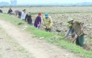 XÃ XUÂN PHONG RA QUÂN LÀM THỦY LỢI MÙA KHÔ NĂM 2024
