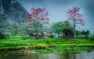 Cuộc thi ảnh nghệ thuật
