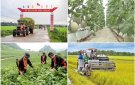   Tăng cường tuyên truyền Chương trình mục tiêu quốc gia giảm nghèo bền vững 