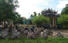 Mãi mãi tri ân các anh hùng thương binh, liệt sỹ