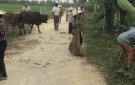  Hội Nông dân xã Xuân Phong tổ chức thực hiện xây dựng TNM, NTM nâng cao năm 2024.