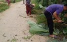       Hội Phụ nữ xã Xuân Phong tổ chức thực hiện xây dựng NTM, NTM nâng cao.