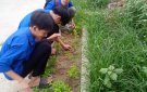  Đoàn thanh niên chăm sóc hàng rào xannh thanh niên chuẩn bị cho các tiêu chí NTM nâng cao trên địa bàn xã