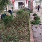 Tuyến đường hoa phụ nữ